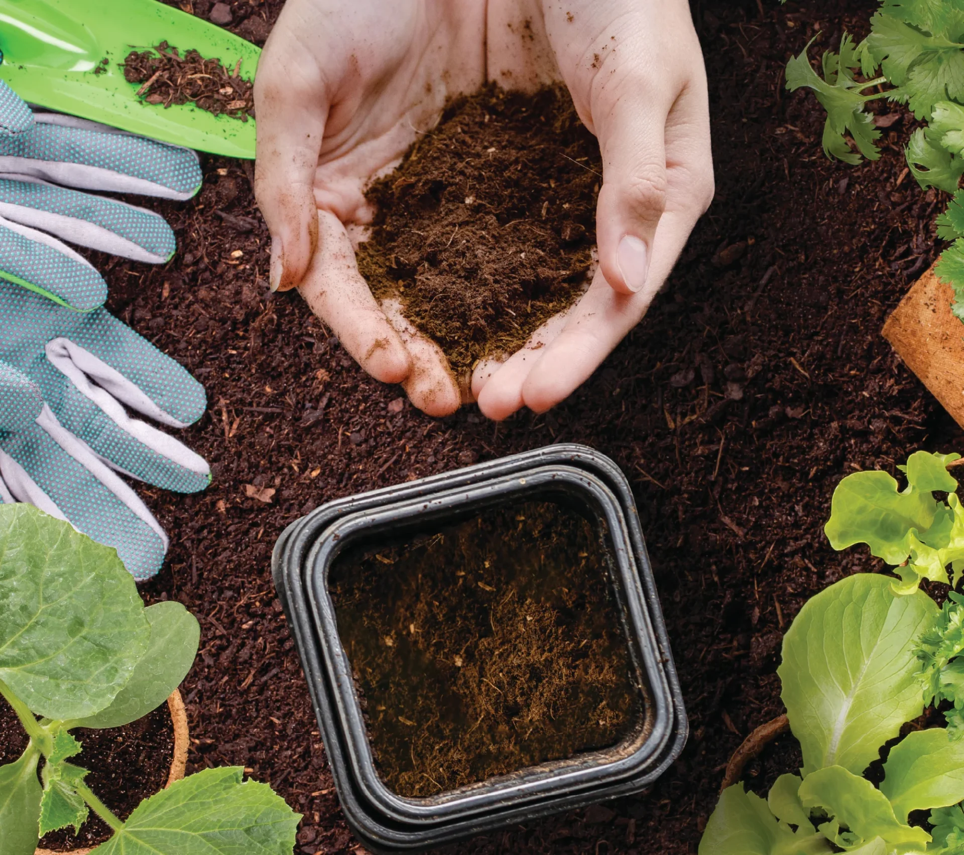 FoodCycler Eco 3 -luonnollista multaa