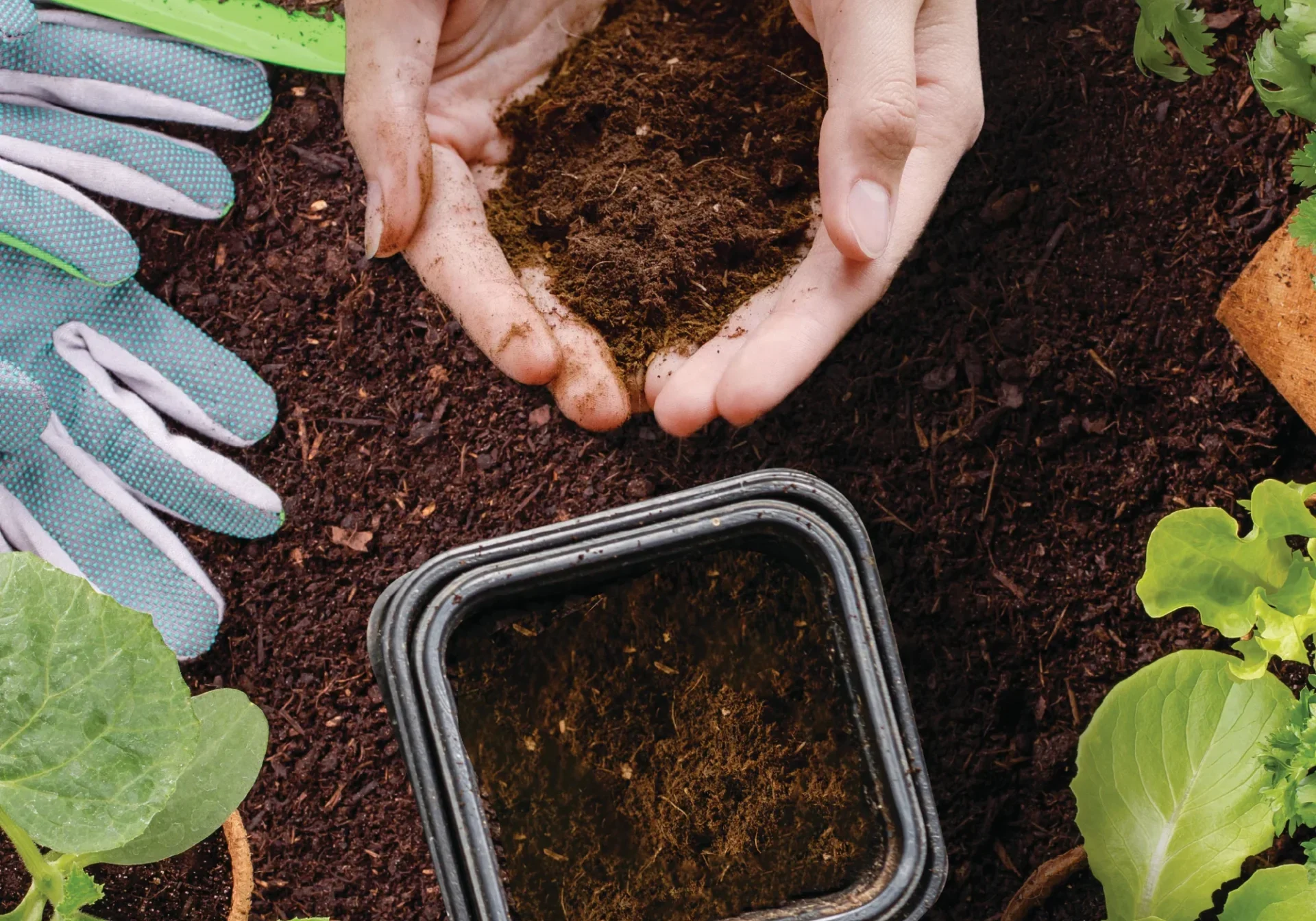 lisa-multa-puutarhaasi-foodcycler
